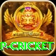 2022 world cup cricket Games (Casino & Earning) Pro v4.0.0