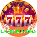 all cricket - Casino Pro
