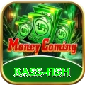 bass fish Deluxe Pro v2.9.5