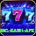 bbl big bash apk Max v4.1.5