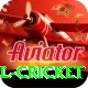 bbl cricket Master Pro v4.7.3