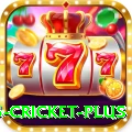 bet365 cricket Games Extreme