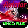 bingo VIP Edition v2.6.7