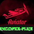 bingopkr VIP v1.4.7
