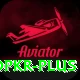 bingopkr VIP v1.4.7