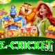 bpl live cricket Premium Edition v2.9.8