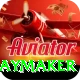 cam playmaker Premium v4.2.2