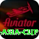 cricbuzz asia cup Deluxe Edition v4.8.8