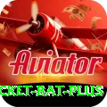cricket bat App Master v4.3.6