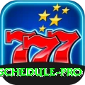 cricket match schedule Mega APK v4.6.8
