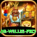 dani willis Cash Pro