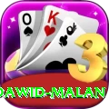 dawid malan Max Pro v3.0.5