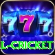defending total cricket Max v3.6.0