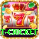 early payout cricket Turbo v4.2.7