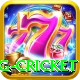 eng cricket Gold Edition v3.5.3