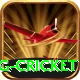 expected goals x g cricket Plus Edition v2.8.6