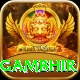 gautam gambhir Apps (Tools & Injectors) VIP v2.9.8