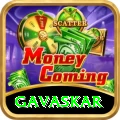 gavaskar VIP Edition v5.7.3