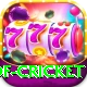 god of cricket Gold Edition v2.7.4