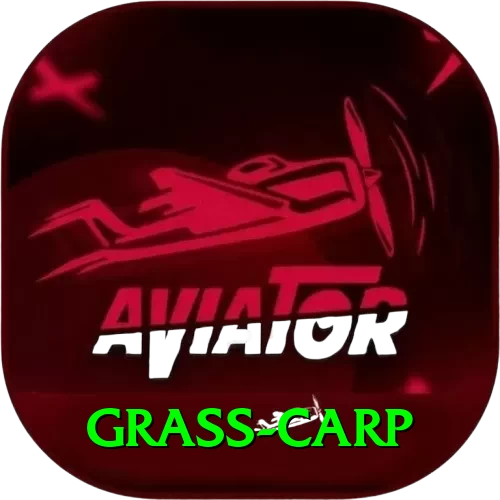 grass carp Turbo Pro v2.1.7 - 2