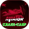 grass carp Turbo Pro v2.1.7