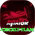 hong kong cricket team Deluxe v5.4.9