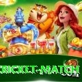 india cricket match Plus Pro v4.4.3