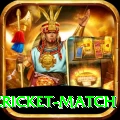 india pakistan cricket match Pro Max v1.9.3