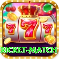 international cricket match Gold Edition v1.5.9