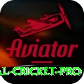international cricket Master Latest v4.5.6