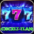ireland cricket team Deluxe v3.4.1