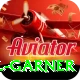 joel garner Apps (Tools & Injectors) Elite v4.7.6