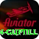 martin guptill VIP Edition v3.1.2