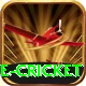 mobile cricket Pro Edition v1.1.1