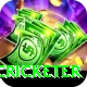 mohsin khan cricketer Pro Max v4.1.8