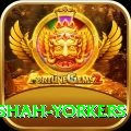 naseem shah yorkers Gold v5.0.3