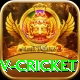 ndtv cricket Plus Pro v4.9.6