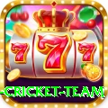 new zealand cricket team Gold v4.4.2
