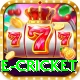 online cricket Turbo Pro v2.5.1
