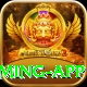 pakbet88 VIP Gaming App