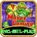 Pakistan Betting Site King Latest v3.0.0