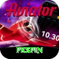 pkspin Pro Max vv5.8.8