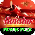 pkwin Pro1 v2.4.5