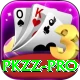 pkzz Pro Edition v4.5.4