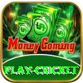play cricket Gold Pro v3.5.6