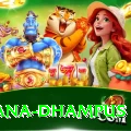 pothana dhampus Premium Edition v2.4.3