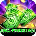 responsible gambling pakistan Plus Edition v2.5.2