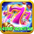 rohtasgarh fort rohtas Plus Pro v2.7.8