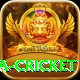 sa cricket Gold Pro v2.4.4