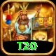 t20 Deluxe v5.5.6